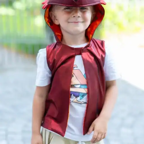 ⁦אפודת דרקון ליום יום⁩ – תמונה ⁦4⁩