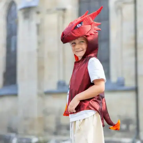 אפודת דרקון ליום יום