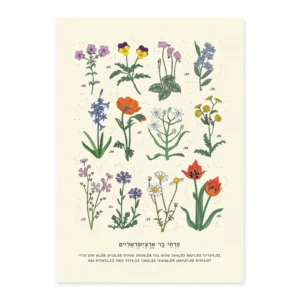הדפס Isreal Wild Flowers A3