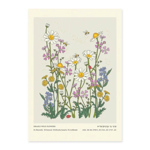 הדפס Garden Flowers A3