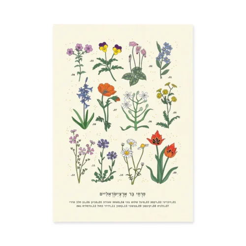 הדפס Israel Wild Flowers A4