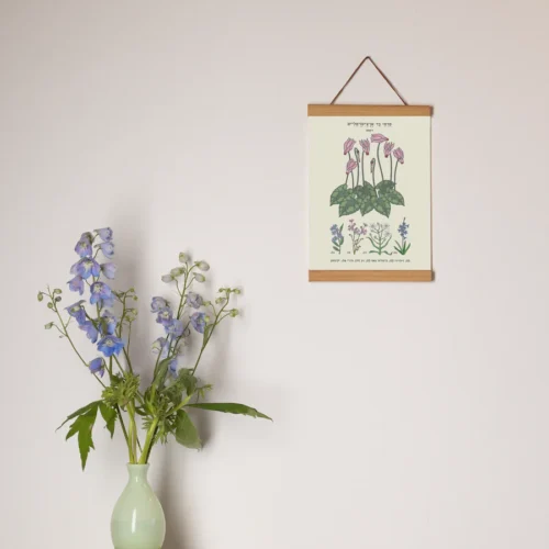 ⁦הדפס Cyclamen A4⁩ – תמונה ⁦2⁩