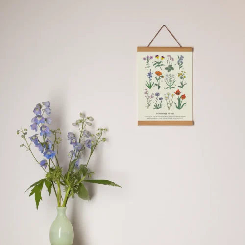 ⁦הדפס Israel Wild Flowers A4⁩ – תמונה ⁦2⁩