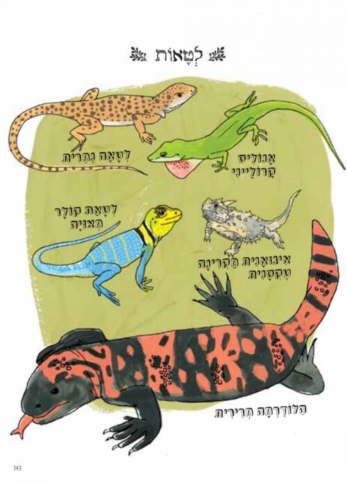 ⁦האנטומיה של הטבע⁩ – תמונה ⁦4⁩