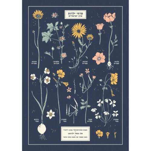הדפס Botanical Chart A3