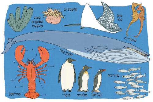 ⁦האנטומיה של הים⁩ – תמונה ⁦2⁩