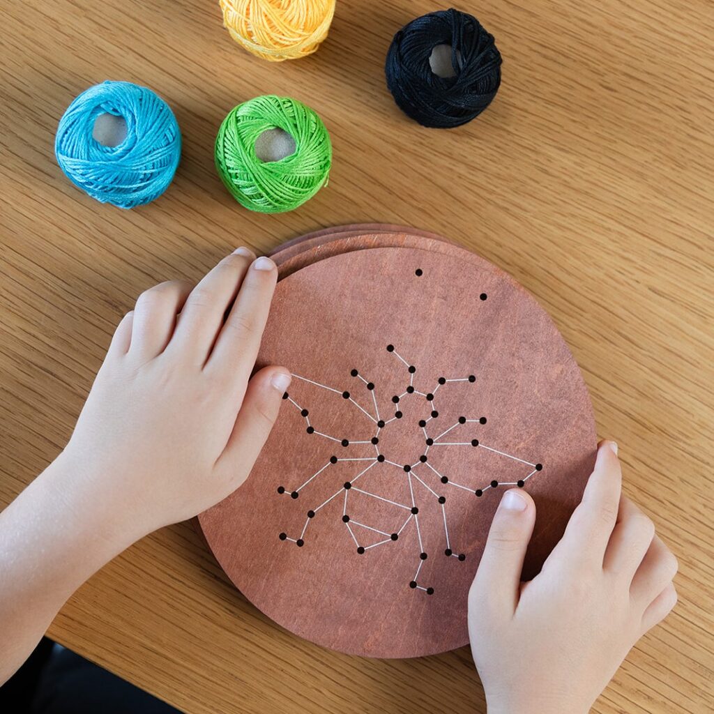 רקמה על עץ חרקים – תמונה 5