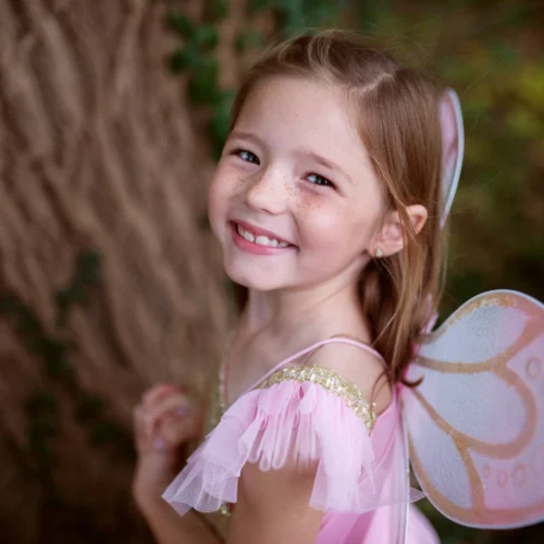 ⁦פרפרית זהובה ורודה 5/7⁩ – תמונה ⁦2⁩