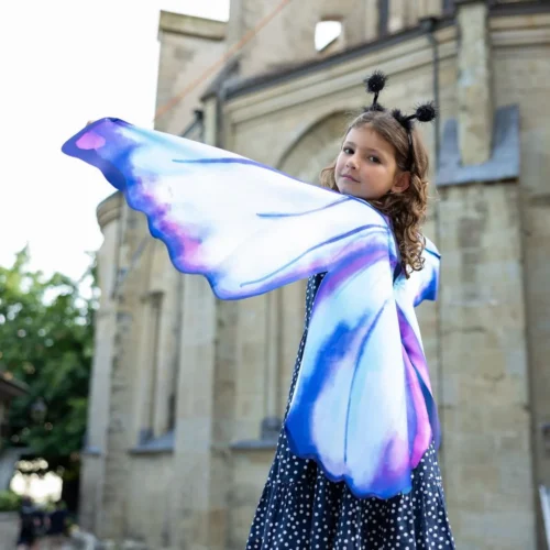 תחפושת כנפי פרפר אגדי וקשת 4/6