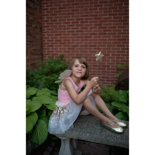 פרפרית זהובה 4/6 חצאית כנפיים ושרביט